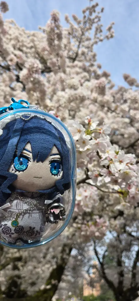 Image from lychee.kirisaki