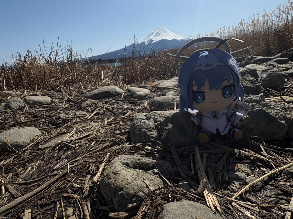 Image from DaRoyalCrab